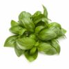 Basil Flavour