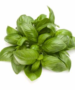 Basil Flavour